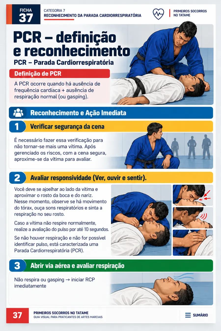 PCR — definição e reconhecimento